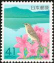 Japanese Bush Warbler (Cettia diphone)